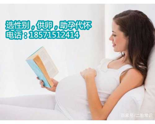 深圳供精供卵生下孩子不是梦,私人机构做试管技